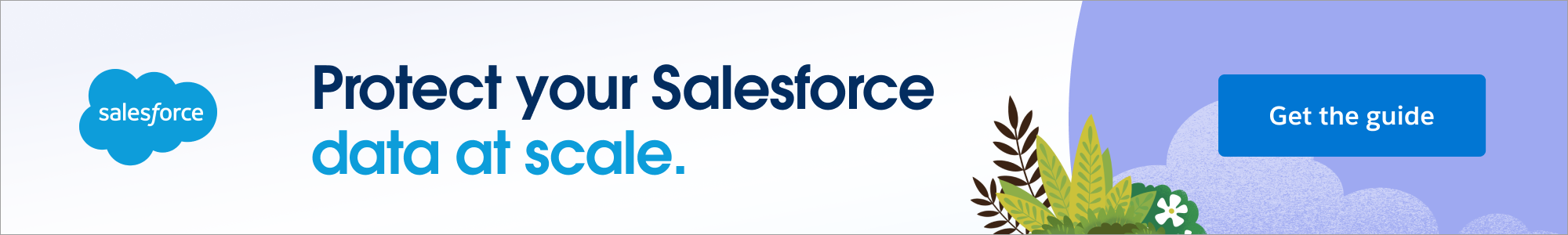 Minimize Data Risks Guide